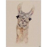 Jane Bannon (Rodney 60 x 80 cm Printed Canvas