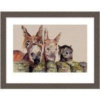 The Art Group Jane Bannon (Johnny, Freckles & Halfpint) - 60x80cm Framed Art