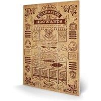 Pyramid International Harry Potter quidditch At Hogwarts