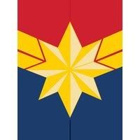 Captain Marvel (Emblem) Canvas