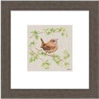 The Art Group Jane Bannon (Jenny Wren) - 30x30cm Framed Art