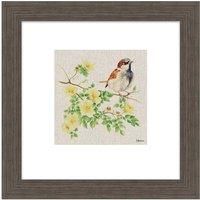 The Art Group Jane Bannon (Sparky The Sparrow) - 30x30cm Framed Art