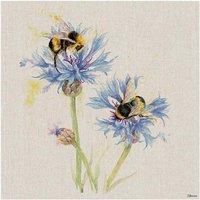 Jane Bannon WDC101303 Printed Canvas 40 x 40 cm (Bees on Cornflowers), Multi-Colour, 40 x 40 cm