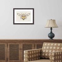 The Art Group Helen Ahpornsiri (Buttercup Bumblebee) 30x40cm Wall Art