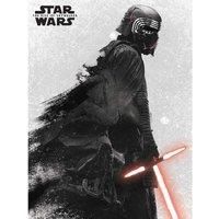 Star Wars: Rise Of Skywalker (Kylo Ren And Vader) Canvas