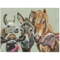 The Art Group Louise Brown (Farmyard Selfie) 30x40cm Canvas