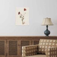 The Art Group Helen Ahpornsiri (Wild Poppies) 30x40cm Wall Art