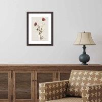 The Art Group Helen Ahpornsiri (Wild Poppies) 30x40cm Wall Art