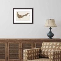 The Art Group Helen Ahpornsiri (Mr Pheasant) 30x40cm Wall Art