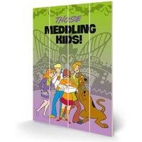 Pyramid International Scooby Doo meddling Kids Small Wood