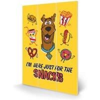Pyramid International Scooby Doo snacks Micro Wood