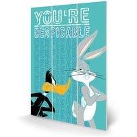 Pyramid International Looney Tunes you're Despicable Micro Wood