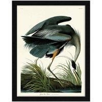 The Art Group John James Audubon (Great Blue Heron) - 60x80cm Framed Art