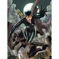 DC Classics Batman cat & Bat 30X40Cm X 1 8Cm