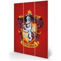 Harry Potter MW12843P Wooden Wall Art, Multicoloured, 20 x 29.5cm