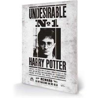 Pyramid International Harry Potter undesirable No1 Micro Wood, Multi