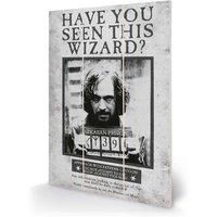 Harry Potter (Sirius Wanted Micro Wood Wall Art