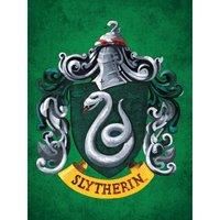 Harry Potter (Colourful Crest Green) 60x80 Canvas