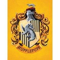 Harry Potter (Colourful Crest Yellow) 60x80 Canvas