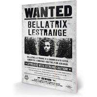 Pyramid International Harry Potter bellatrix Wanted Micro Wood