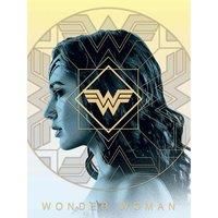 Wonder Woman 1984 amazonian Pride 30X40