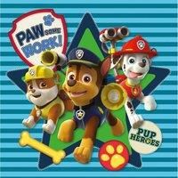 Paw Patrol (Pawsome Work) 30x30 Canvas