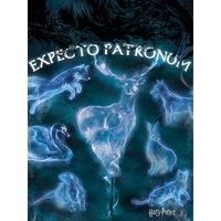 Harry Potter (Patronus) 60x80 Canvas