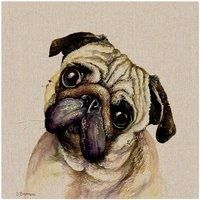 Jane Bannon Pringle Canvas Print, Multi-Colour, 40 x 40 cm