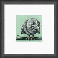 The Art Group Louise Brown (Little Owl) - 30x30cm Framed Art