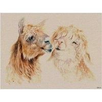 Jane Bannon Sweet Nothings Canvas Print, Multi-Colour, 60 x 80 cm