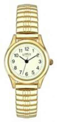 Limit Ladies Gold Plated Stainless Steel Expander Watch