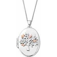 Clogau Tree of Life Oval Locket Necklace 3SNTLL