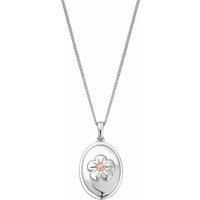 Clogau Nature/'s Wonder Sterling Silver Forget-Me-Not Pendant Standard
