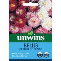 Unwins Bellis Clutch Of Pearls