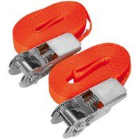 Sealey Self-Securing Ratchet Tie Down 25mm x 4.5m 800kg Load Test - Pair - TD080