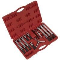 Sealey PS900 Bearing & Gear Puller Set 12pc