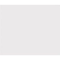 Unbranded 444442920 Unbranded 110cm Glass Splashback in White