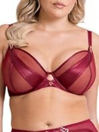 Scantilly Suspense Plunge Underwired Bra Womens Ladies Underwear Lingerie Sangria Size 34HH
