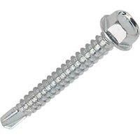 Easydrive Flange Self-Drilling Screws 5.5 x 45mm 100 Pack (39339)