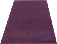 Maestro Plain Rug  80x150cm  Purple