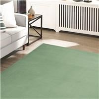 Maestro Plain Sage 120 X 170cm Rug, Green