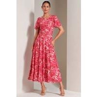 Elvira Print Mesh Maxi Dress