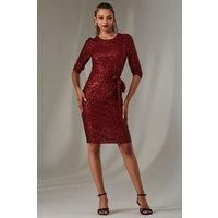 3/4 Sleeve Sequin Stretch Shift Dress
