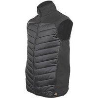 Dickies Generation B.Warmer Adults Black Extra Large Mens
