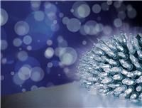 Premier Fairy Cap Light String 300 Christmas LED Lights