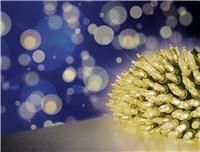 Premier 300L M-A Fairy Cap Light String with Warm White LEDs and Timer, White