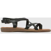 Blowfish Malibu Devon 3 Sandals in Black