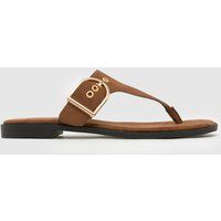schuh Teena Toe Post Sandals in Brown