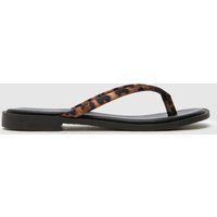 schuh Tulia Toe Post Sandals in Black & Brown