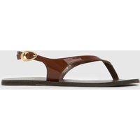 schuh Townsend Toe Post Sandals in Brown